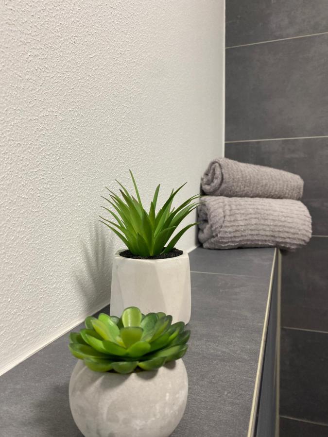 Wood II Appartement Bad Salzuflen Dış mekan fotoğraf